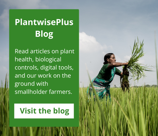 PlantwisePlus Blog