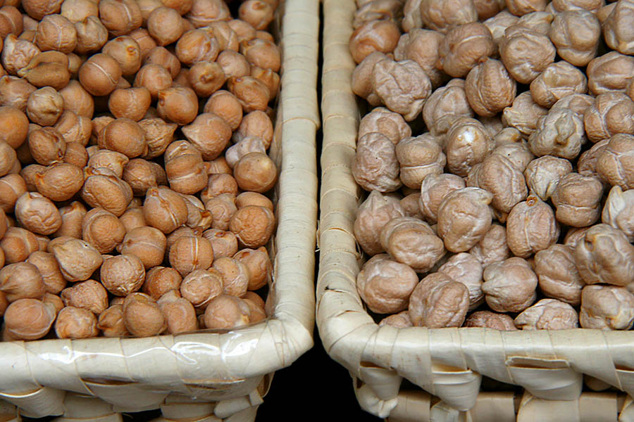 Cicer arietinum (chickpea); dried chickpeas. On the left , Pedrosillano (Pedrosillo el Ralo). On the right, Garbanzo de Fuentesauco (Zamora).