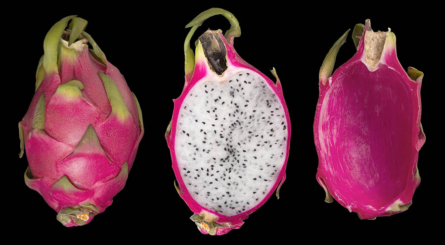 Hylocereus undatus (dragon fruit); fruits; whole, sectioned, pulp removed.