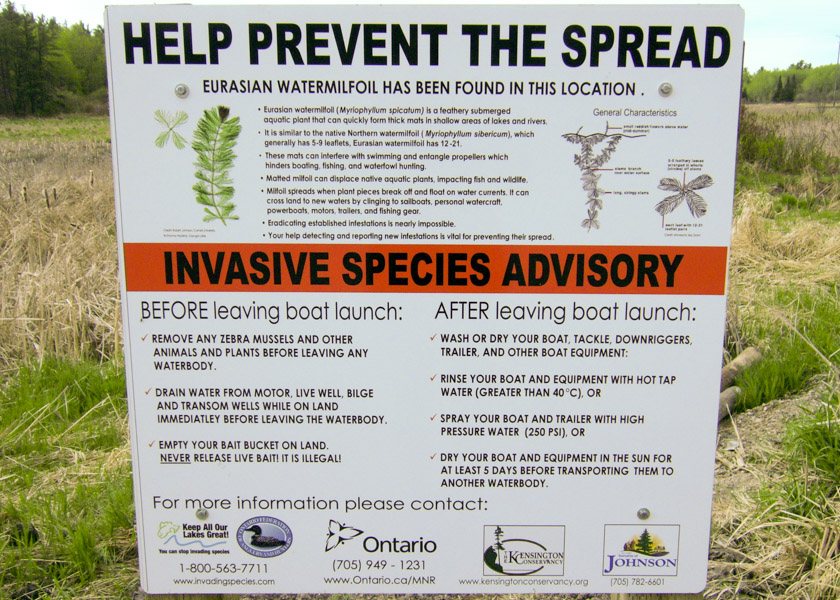 Myriophyllum spicatum (spiked watermilfoil); Warning sign. Desbarats River, Johnson, Ontario, USA. June 2006.