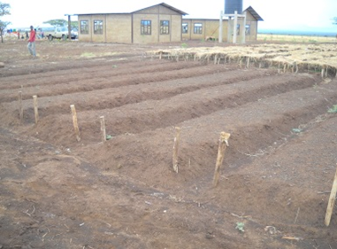 Raised cheap nursery bed